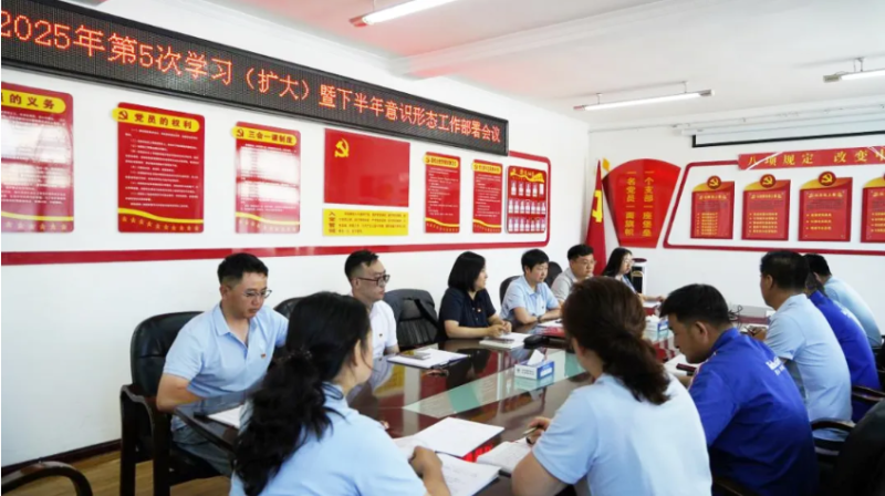 汽贸公司党支部对学习教育&ldquo;回头看&rdquo;工作再检查再部署再推动