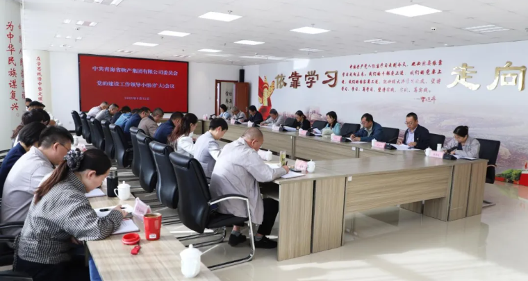 省918博天堂集团集团党委召开党的建设工作领导小组（扩大）会议