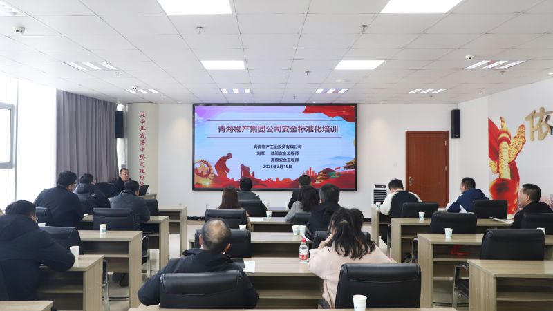 省918博天堂集团集团组织开展集团系统安全台账标准化专题培训活动